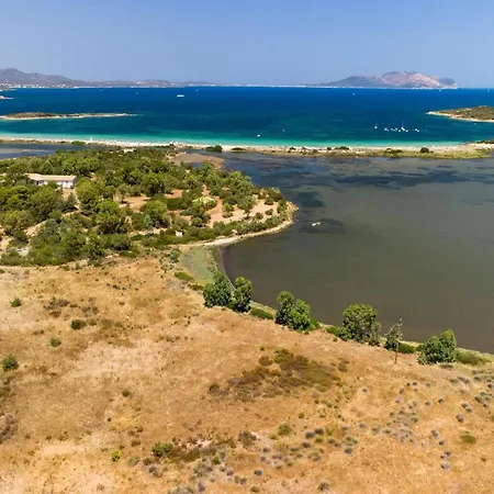 Myrsine 5-16 By Klodge Olbia